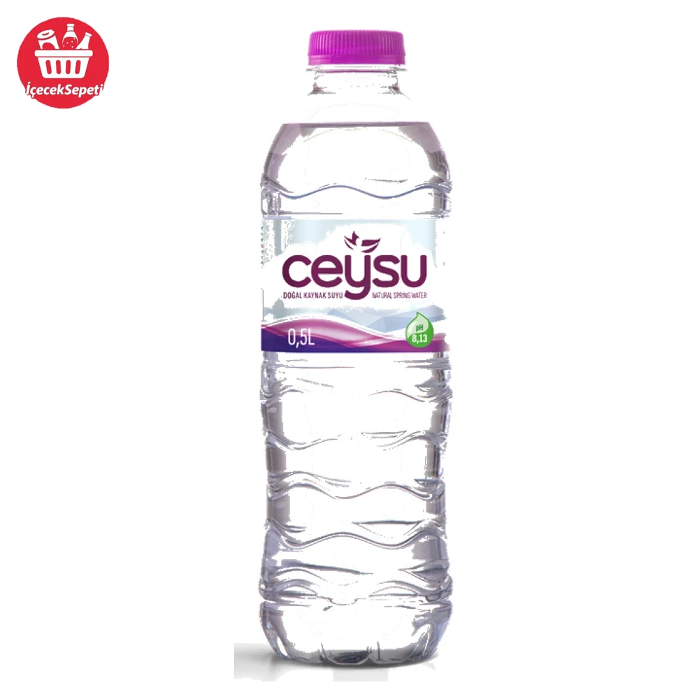 Ceysu Doğal Kaynak Suyu 500 ML * 12 ADET — görsel 1